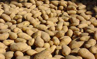 Kartoffelvertrieb Brunner Arnhofer Sauerlach M&uuml;nchen