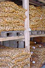 Arnhofer Endlhausen M&uuml;nchen Partyservice Kartoffeln